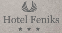 Hotel Feniks Gniezno